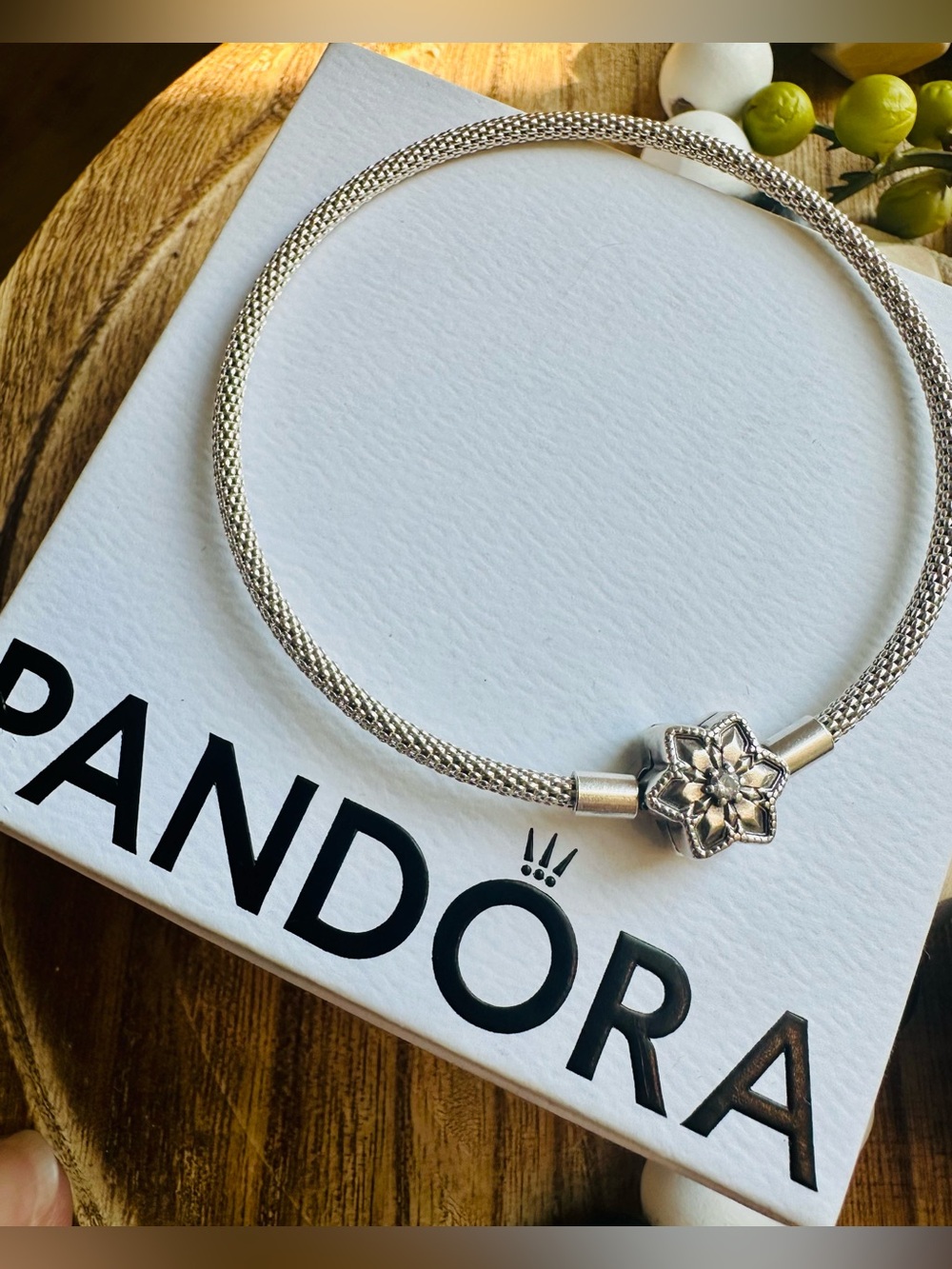 Pandora Bright Snowflake Mesh Sterling Silver Bangle Bracelet w/ Box & Bag